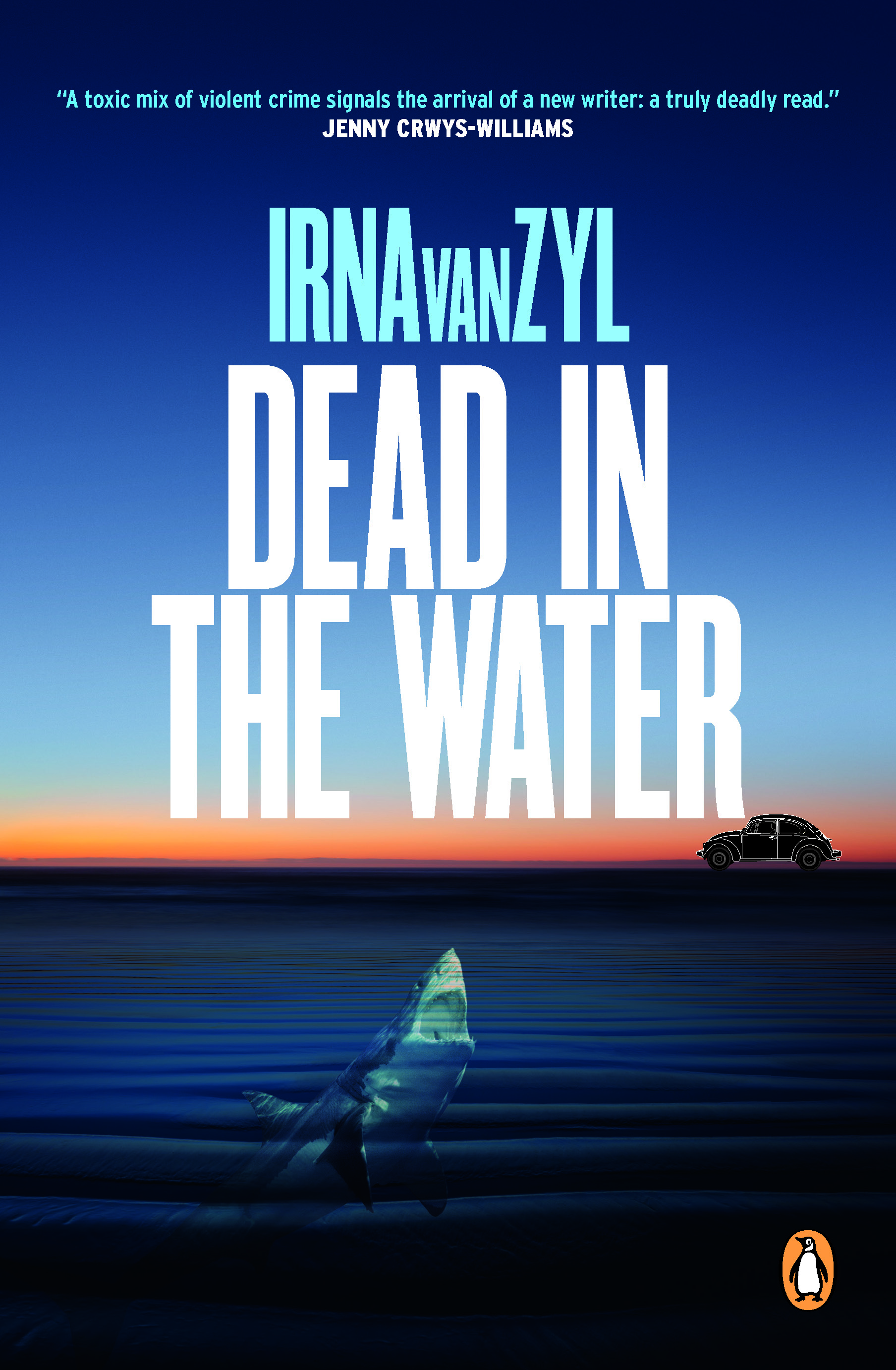 Image result for Dead in the Water by Irna van Zyl