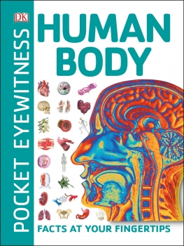 Pocket Eyewitness: Human Body - Facts at Your Fingertips