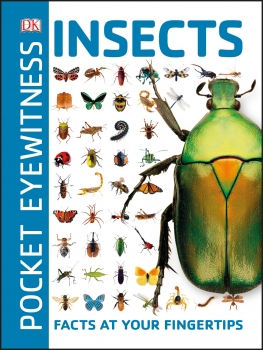 Pocket Eyewitness: Insects (Previous Ed: 9781409374589)