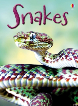 Snakes Beginners Series
