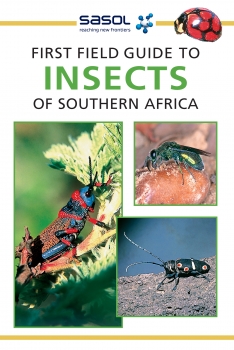 Sasol First Field Guide to Insects of Southern Africa