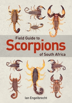 Field Guide Scorpions of South Africa