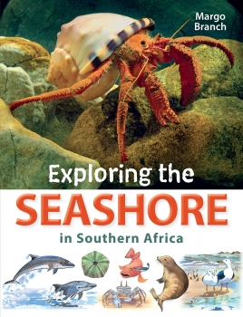 Exploring the Seashore in southern Africa