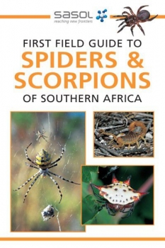 First Field Guide to Spiders &amp; Scorpions of Southern Africa