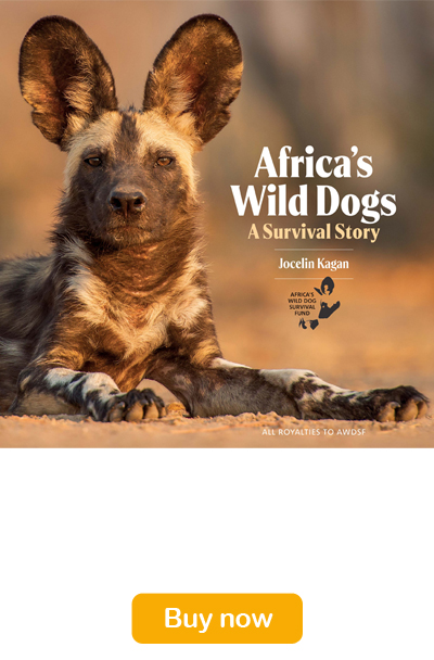 Wild Dogs