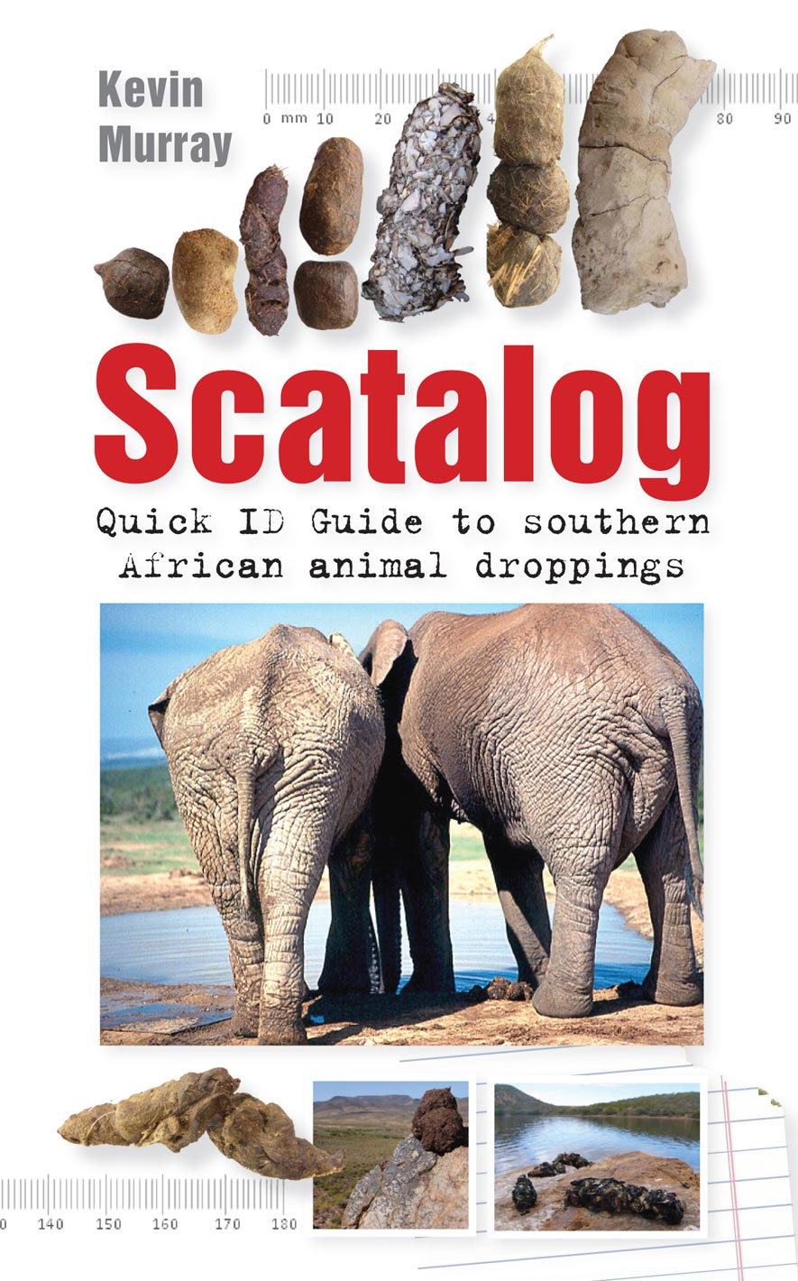 Scatalog: Quick ID Guide to Southern African Animal Droppings by Murray,  Kevin | Penguin Random House South Africa