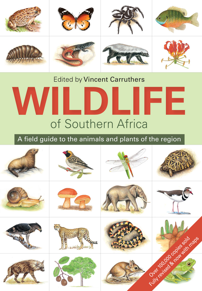 Wildlife of Southern Africa by Carruthers, Vincent | Penguin Random House  South Africa