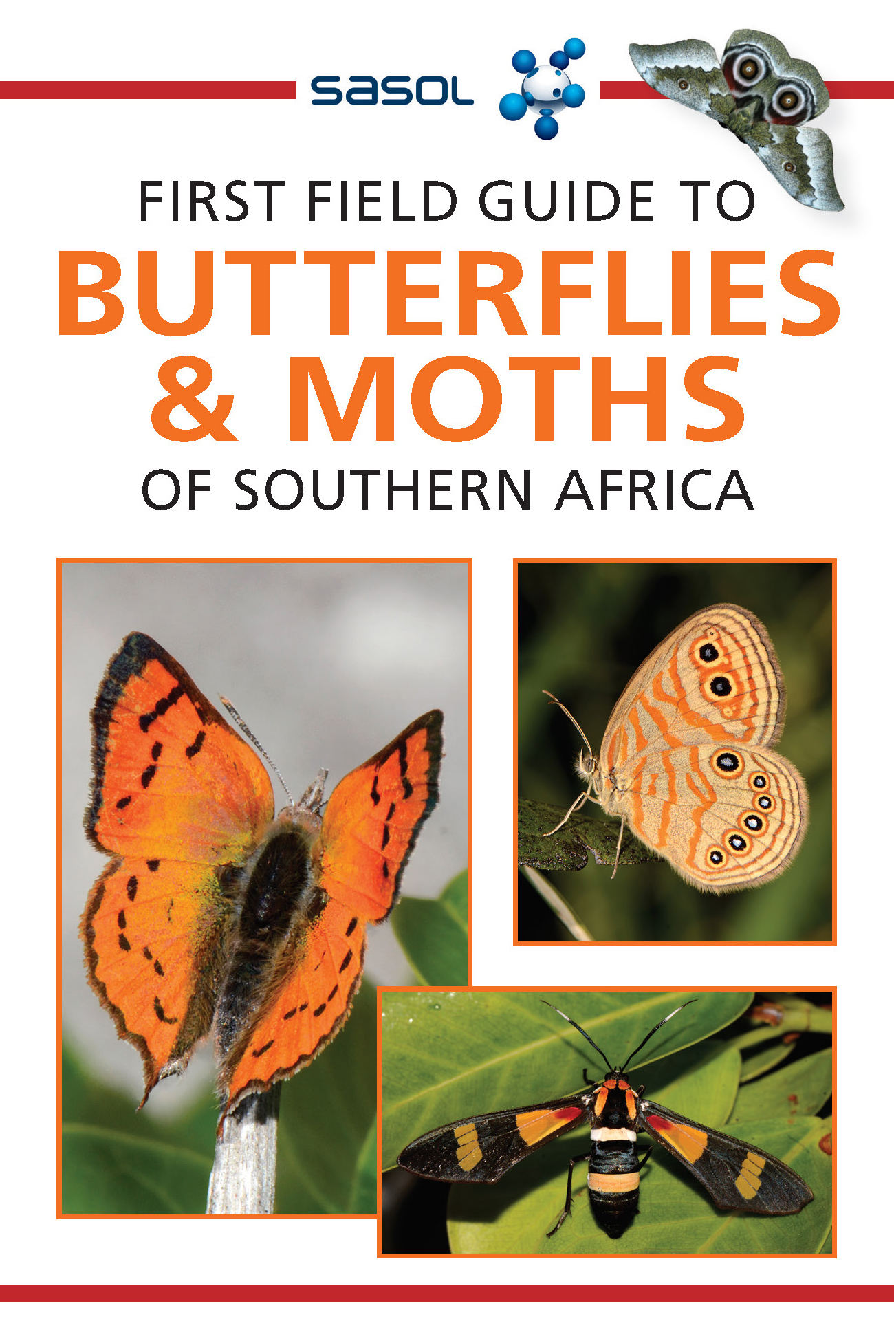 First Field Guide To Butterflies Amp Moths Of Southern