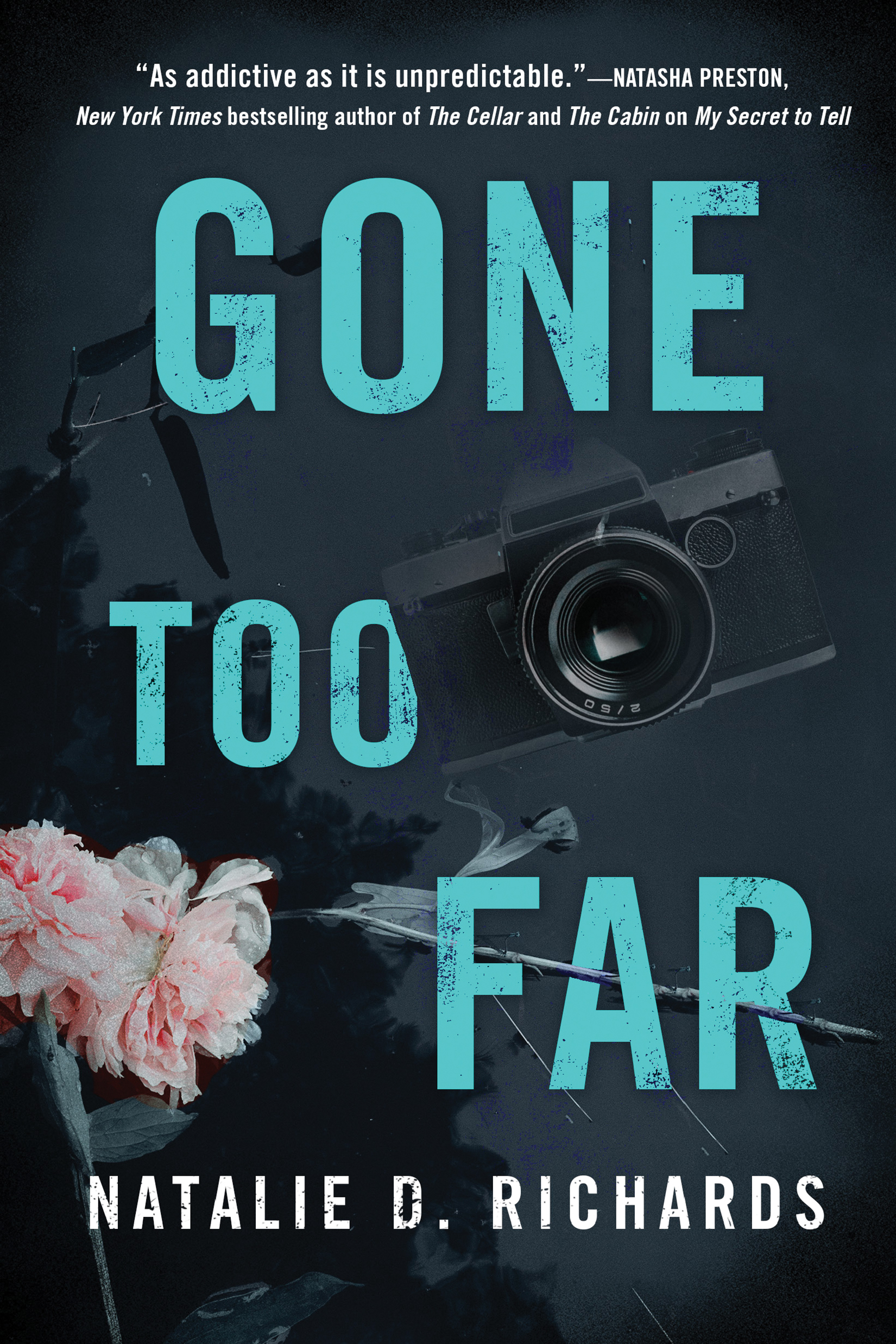 Gone Too Far by Richards, Natalie D