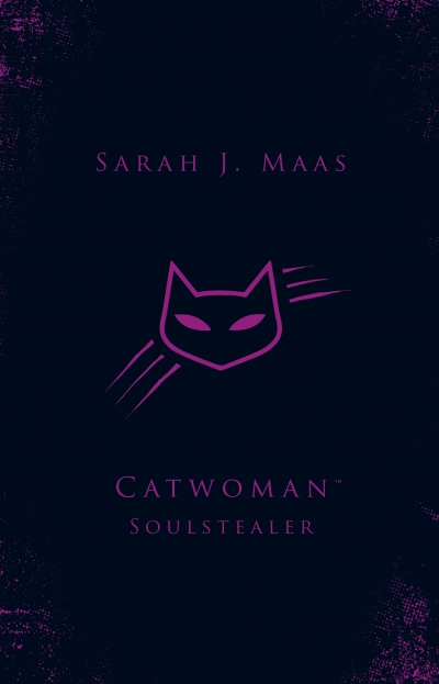 Dc Icons Catwoman Soulstealer By Maas Sarah J Penguin