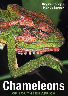 Chameleons Of Southern Africa by Tolley, Krystal | Penguin Random House