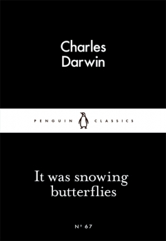 Little Black Classics: It was snowing butterflies