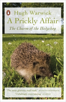 Prickly Affair: The Charm of the Hedgehog
