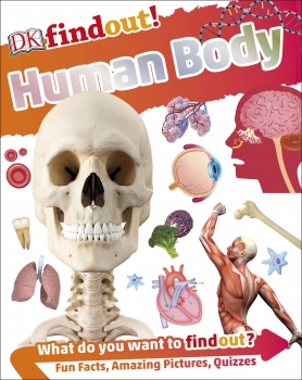 Find Out! Human Body