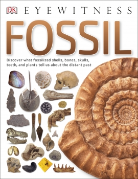 Fossil: Explore the history of life on Earth through every type of      fossil