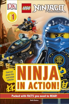 Lego Ninjago: Ninja in Action