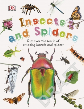 Nature Explorers: Insects and Spiders