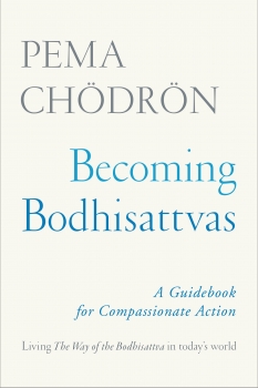 Becoming Bodhisattvas: A Guidebook for Compassionate Action