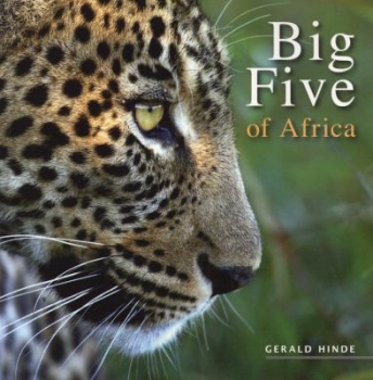 Big Five Of Africa
