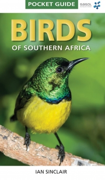 Pocket Guide to Birds of Southern Africa