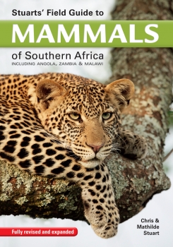 Stuarts&#039; Field Guide to Mammals of Southern Africa