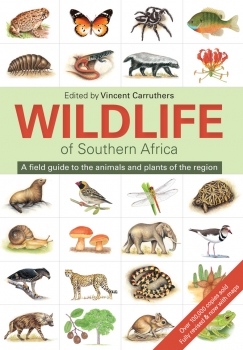 Wildlife of Southern Africa