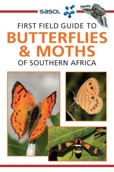 First Field Guide to Butterflies &amp; Moths of Southern Africa
