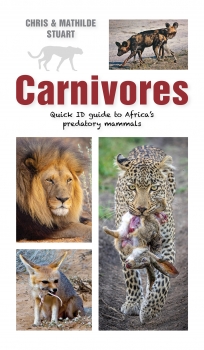 Quick ID Guide to Carnivores of Southern and East Africa