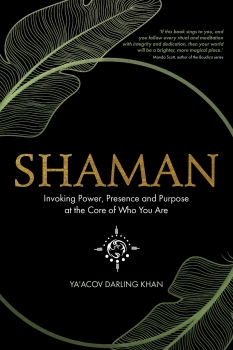 Shaman: Invoking Power, Presence and Purpose at the Core of Who YOU Are