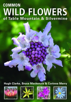 e - Common Wild Flowers of Table Mountain &amp; Silvermine