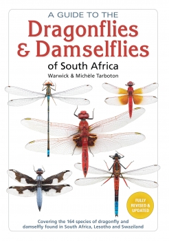 Field Guide to Dragonflies and Damselflies of South Africa