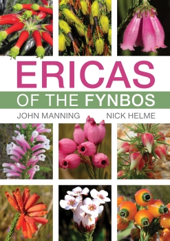 【中古】 Field Guide to Fynbos/PENGUIN RANDOM HOUSE SOUTH AFR/John Manning Field Guide to Fynbos by Manning, John | Penguin Random
