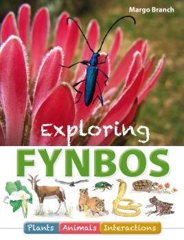 Exploring Fynbos: Plants, Animals, Interactions