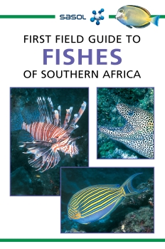First Field Guide to Fishes of South Africa