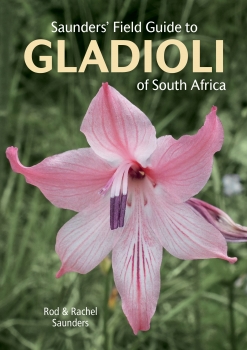 Saunders&#039; Field Guide to Gladioli of South Africa
