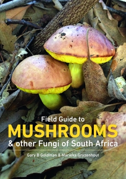 Field Guide to Mushrooms and Other Fungi of South Africa