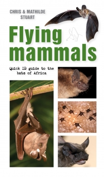 Flying Mammals: Quick ID guide to the bats of Africa
