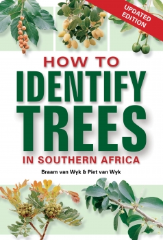 How to Identify Trees in Southern Africa (New Edition)