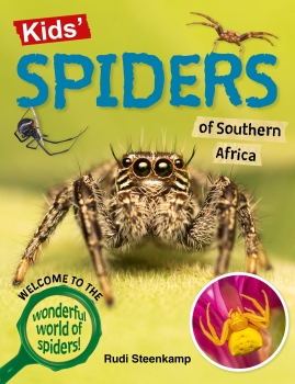 Kids&#039; Spiders of Southern Africa