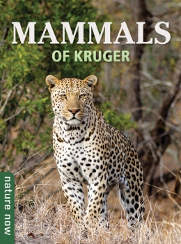 Nature Now: Mammals of Kruger