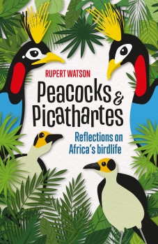 Peacocks &amp; Picathartes: Reflections on Africas birdlife