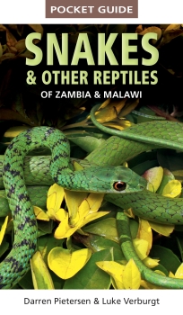 Pocket Guide Snakes &amp; Reptiles of Zambia &amp; Malawi