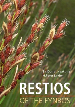 Restios of the Fynbos