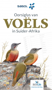 Sasol Oorsiglys van Voëls in Suider-Afrika
