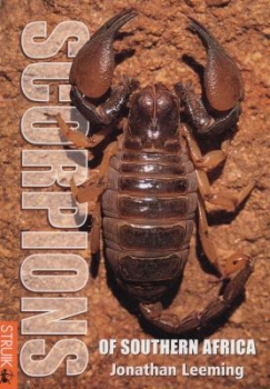 Scorpions of Southern Africa