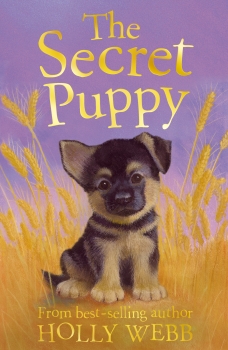 Animal Stories 22: The Secret Puppy