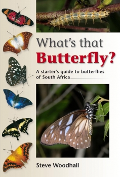 What&#039;s that Butterfly?