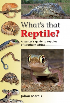 What&#039;s that Reptile?