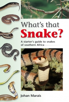 What&#039;s that Snake?