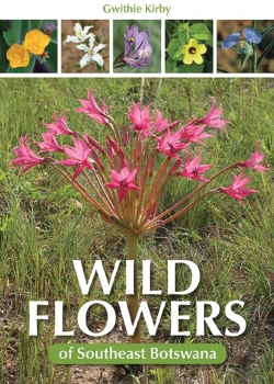 Wild Flowers of Southeast Botswana